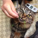 完全に一致