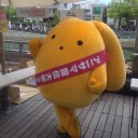 昔札幌まつりでりんごあめ買ってアレルギーなの忘れて食べてて死にそうになったカポエラーの話する？