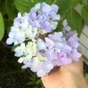 欲しい物全て手に入れてもほしい物は愛だけ♪