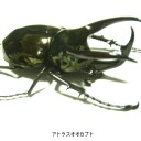 6月23日の日記