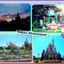 ディズニーその後。。♪