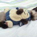 7月16日の日記