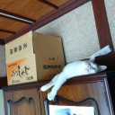 7月20日の日記