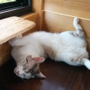 7月20日の日記