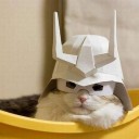 猫欲しい