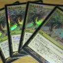 禁忌の果樹園　日本語FOIL　４枚目ゲット