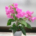 お分休み2日目