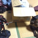 猫vsフレームアームズ