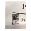 【KTK】ドラゴン関係の新カード