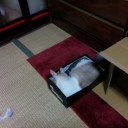 9月10日の日記