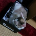 9月10日の日記