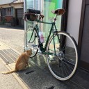 福岡の猫島、相島に行ってきた！！
