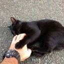 福岡の猫島、相島に行ってきた！！