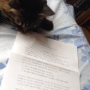 ベネッセから猫の気持ちで流出したお詫びの手紙を読むレオ君