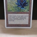 0マナの高嶺の花