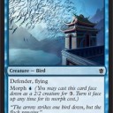 マルドゥ対策