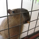 そうだ、芦ノ湖に行こう