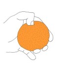 shake hands