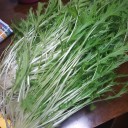 野菜と格闘したった!