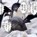 日米やきう