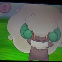 甥っ子とのポケモンバトルが近づいて来た