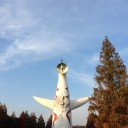 11/24 ハリケーン川西 ジムバトル