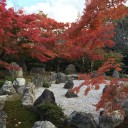 将軍塚青龍殿、国宝青不動御開帳