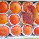 今年も