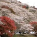 テニスの後に紅葉狩り
