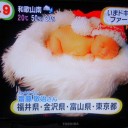12月4日の日記