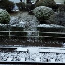 初雪…です…よろしく