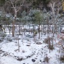 初雪です！
