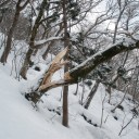 あけましておめでとうございます