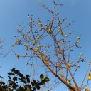 久しぶりの青空
