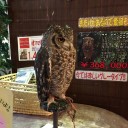 久しぶりの「つかしん」