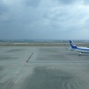沖縄初上陸です