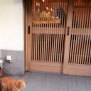 明日は
