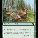 すべての鹿に＋1/＋2修正を与える、アンコモンのロード