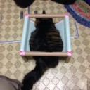 逆転の発想