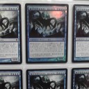 コレクション番外編　うちの海獣たち