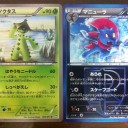 第４９回琵琶湖ポケカジムに入賞する