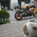 ニャ～