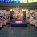 『ネオロマンス・フェスタ 遙か祭2015 ～十五年の宴～』