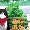 にゃんこい！