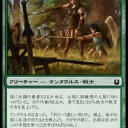 【龍紀伝プレビュー】緑2マナで3/2到達トランプル、さらにカウンターが乗った生物の数だけサイズアップするアバター
