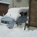 すっかり雪の無い状態に