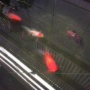 水の入れ替え