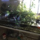 水の入れ替え