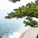 PHOTO☆