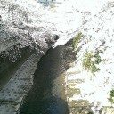 明日から